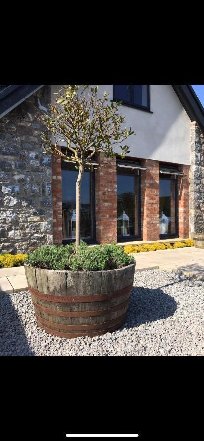 Villa Y Bwythyn Holywell  Exterior foto